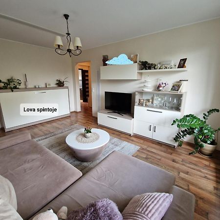 Siaure Apartamento Kaunas Exterior foto